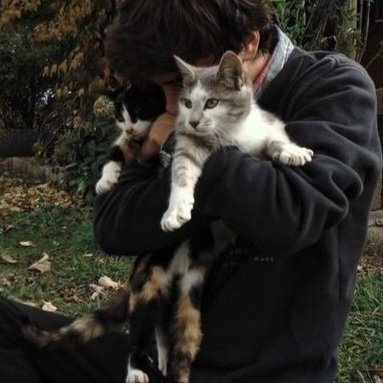 myataneba's tweet photo. #2min ау в котором Минхо впервые опоздал, но зато забрал домой котёнка и одного недовольного щенка https://t.co/x7DVYQa6LT