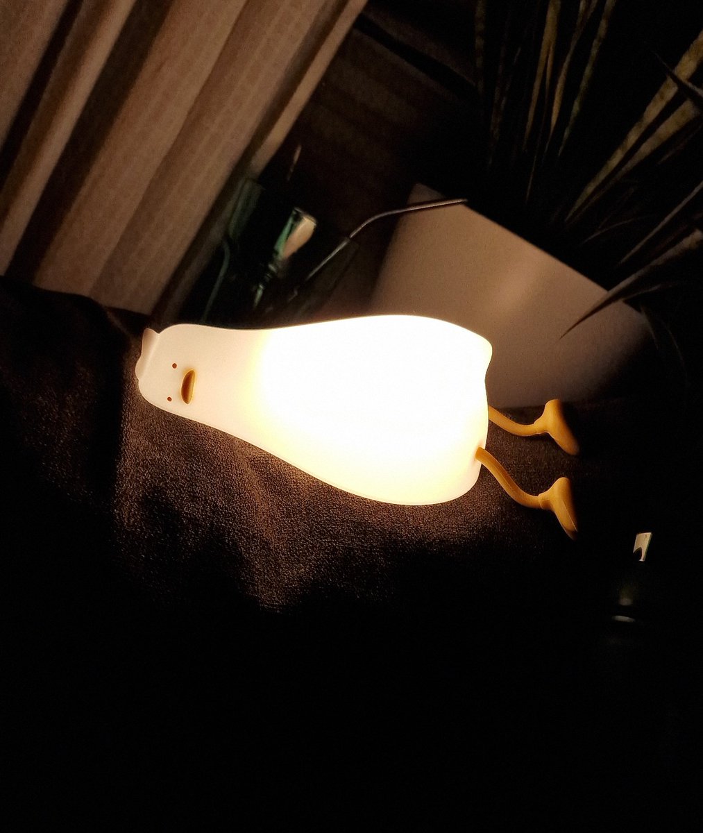 Neue Entenkollegin leuchtet mir heim...