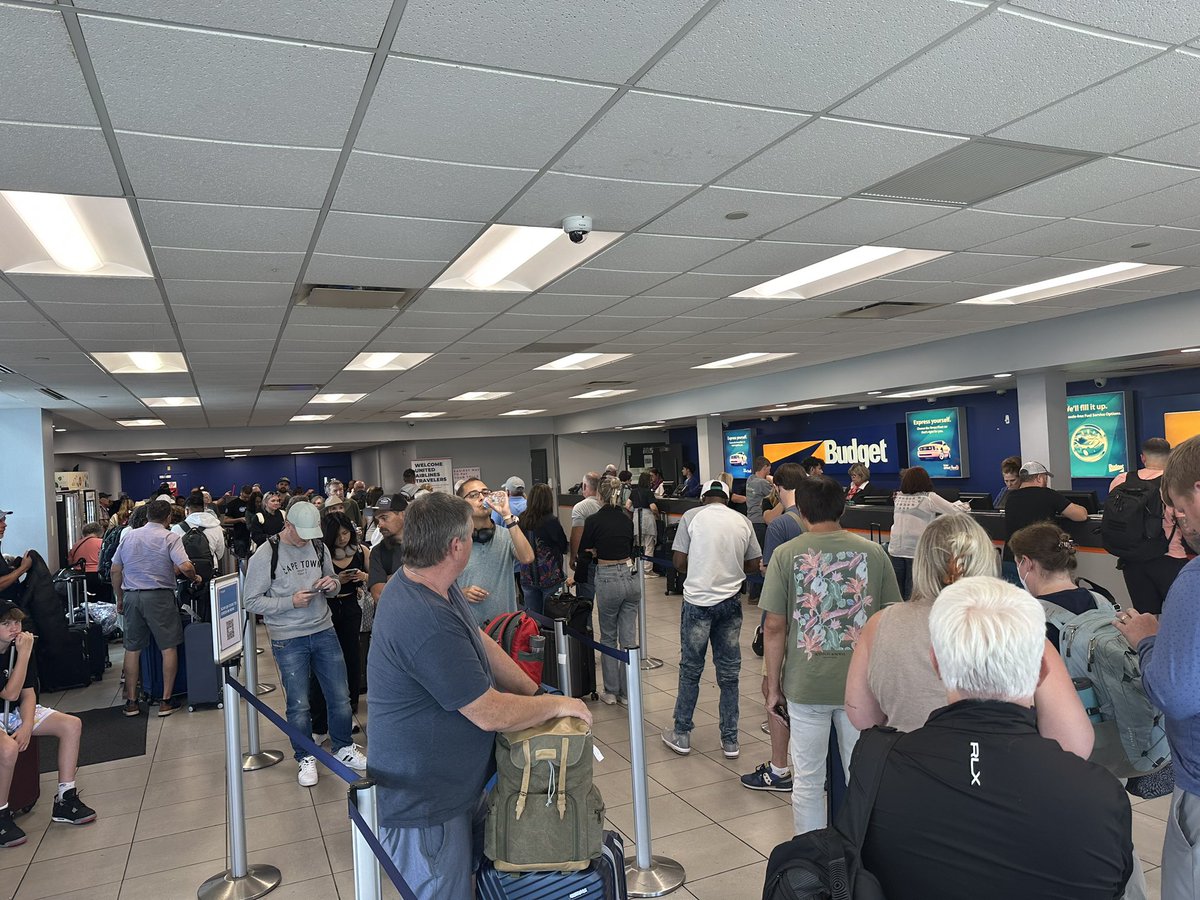 Liz Wentland tweet media