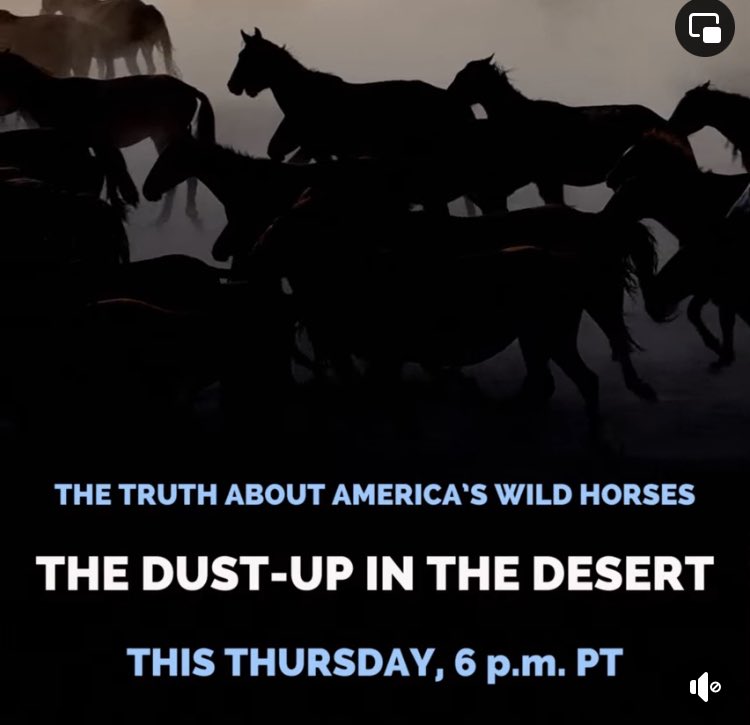 Register now to watch the debate LIVE!

bit.ly/Dust-UpDebate

#justiceforhorses #horses #horseslaughter #istandwithwildhorses  #WILDHORSES #SaveOurWildHorses