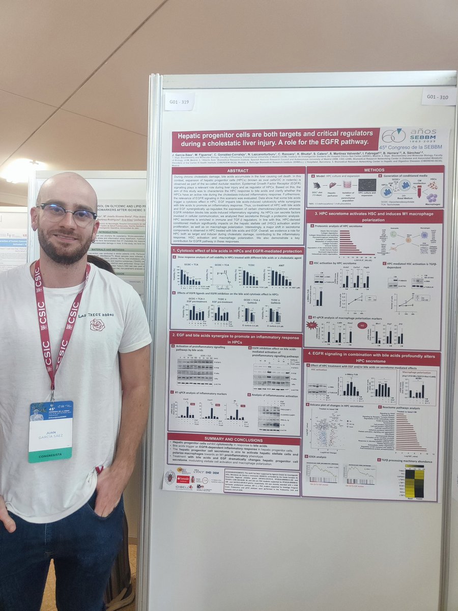 Happy to share our group results at #45congresosebbm <a href="/SEBBM_es/">SEBBM</a> about Hepatic progenitor cells as targets and critical regulators during cholestatic liver injury. Great opportunity!