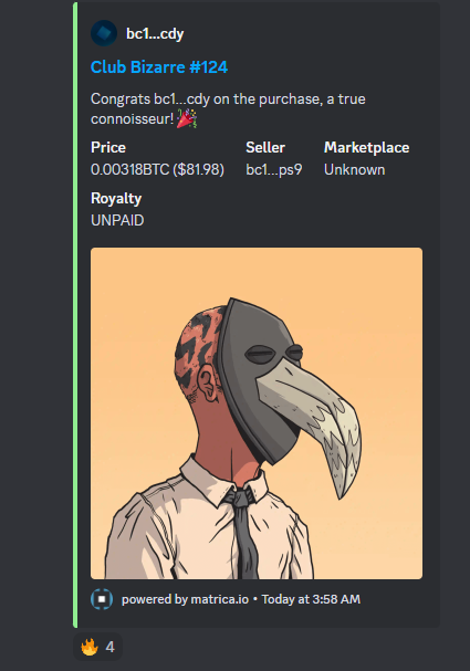 Club Bizarre tweet media