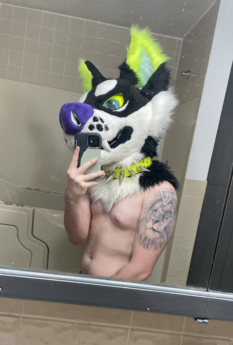AdKazoo's tweet photo. Spike collars are sexy af change my mind https://t.co/xMWJmqI2yt