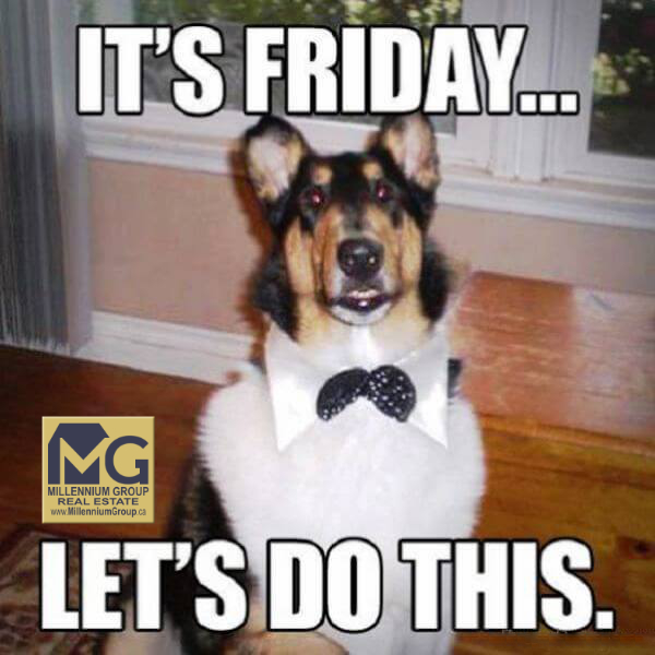 Mad respect for a dog in a bow tie! 🎀

#FridayMood #FridayVibe #CATS #FridayDance #KendraCutroneBroker #TonyCutroneRealtor #MillenniumGroupRealEstate #MillenniumGroup #FREEHomeEvaluation #FREEHomeStaging #FixAndFlipExpert #WeSellForMore #TonySellsGTA #KendraCutroneSRES #MGRE