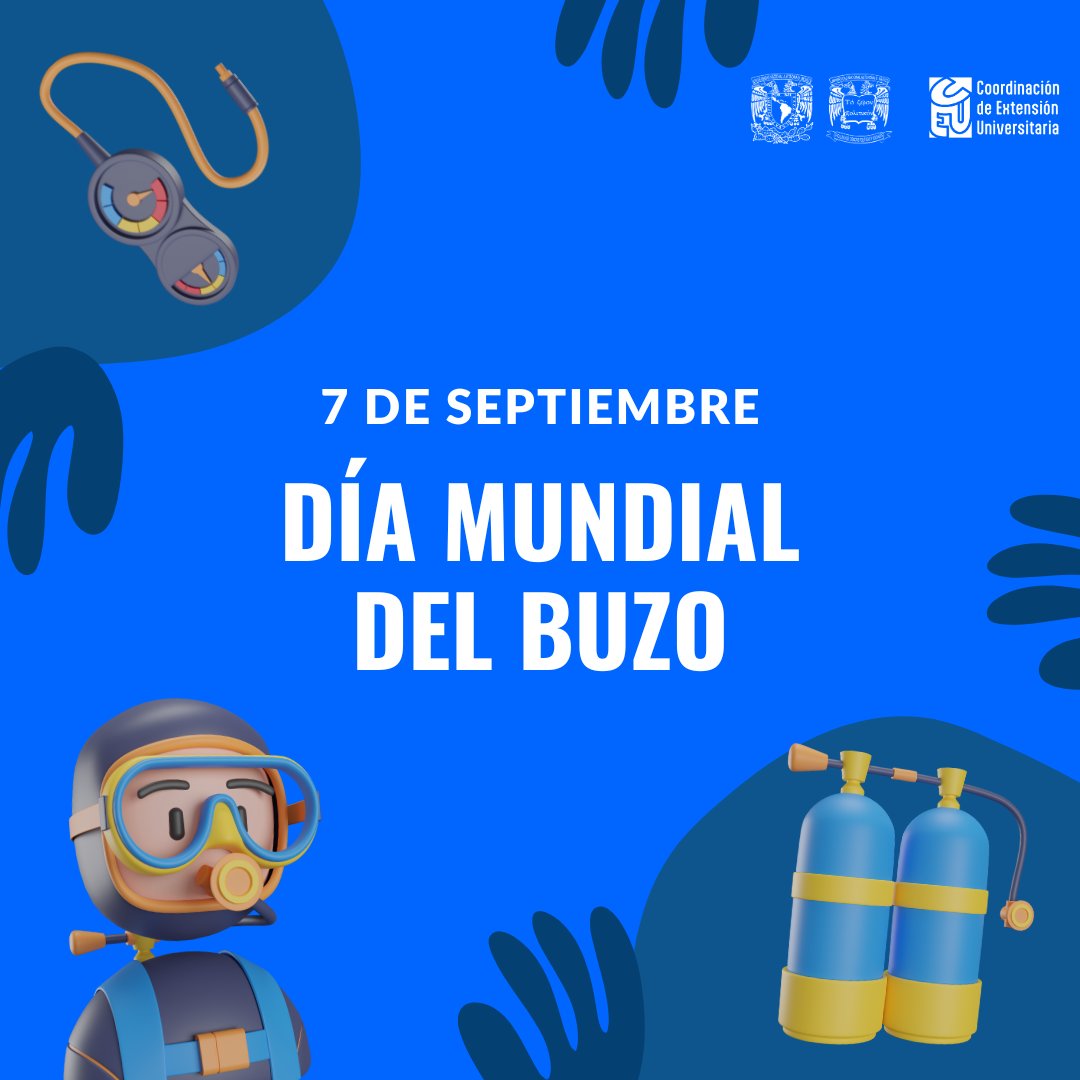 UNAM_FCPyS's tweet photo. 🚀 Viaje en el tiempo
El 7 de septiembre se celebra el #DíaMundialDelBuzo. La #UNAM ofrece cursos de buceo en la alberca olímpica de #CiudadUniversitaria, únicamente necesitas saber nadar para poder inscribirte 🏊♂️ #AQueNoSabías #ViajeEnElTiempo #Buceo #DiversDay #CEU #FCPyS https://t.co/u9yqCFhmSz