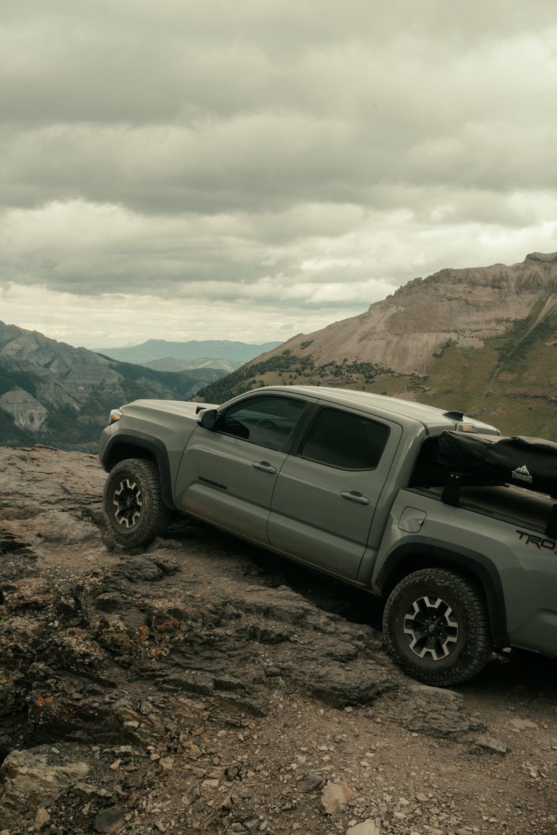 Robin Wood tweet media