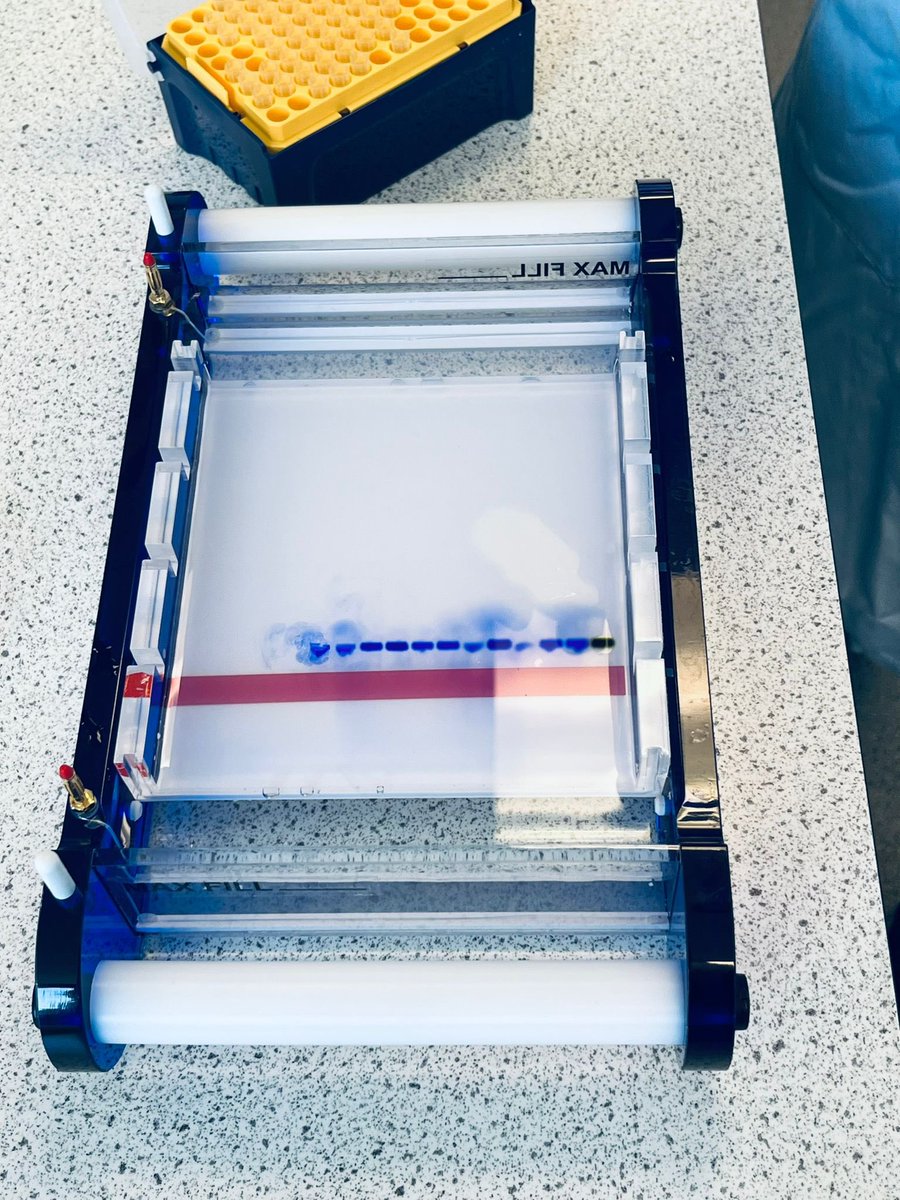 LHSScience_Dept's tweet photo. Our Higher Biology classes enjoyed a trip to the University of Glasgow today. They had some hands on experience of the PCR technique and gel electrophoresis. A fantastic experience for everyone involved! @LinwoodHigh https://t.co/SInHLn7F4M