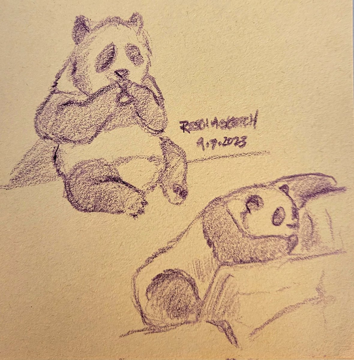 d0gJaW's tweet image. Live sketching the wonderful #pandas at @smithsonianzoo before they go back to China. Great zoo trip despite the absurd heat  :)

 #kidlitillustration #kidlitart #panda  #amsketching