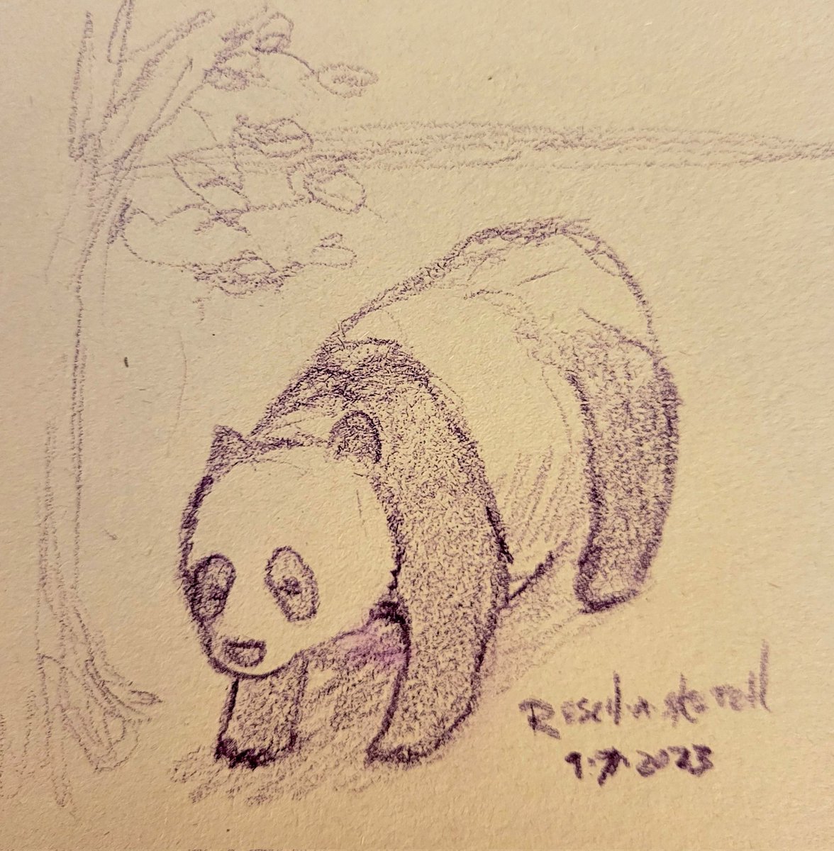 d0gJaW's tweet image. Live sketching the wonderful #pandas at @smithsonianzoo before they go back to China. Great zoo trip despite the absurd heat  :)

 #kidlitillustration #kidlitart #panda  #amsketching