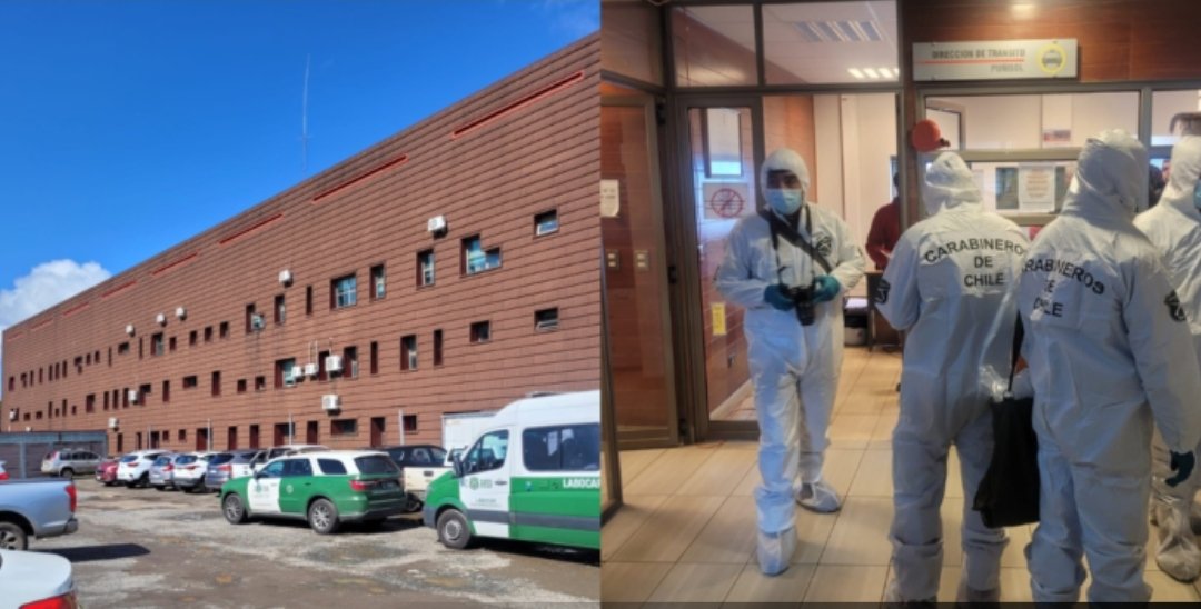 Angolinos.cl tweet media