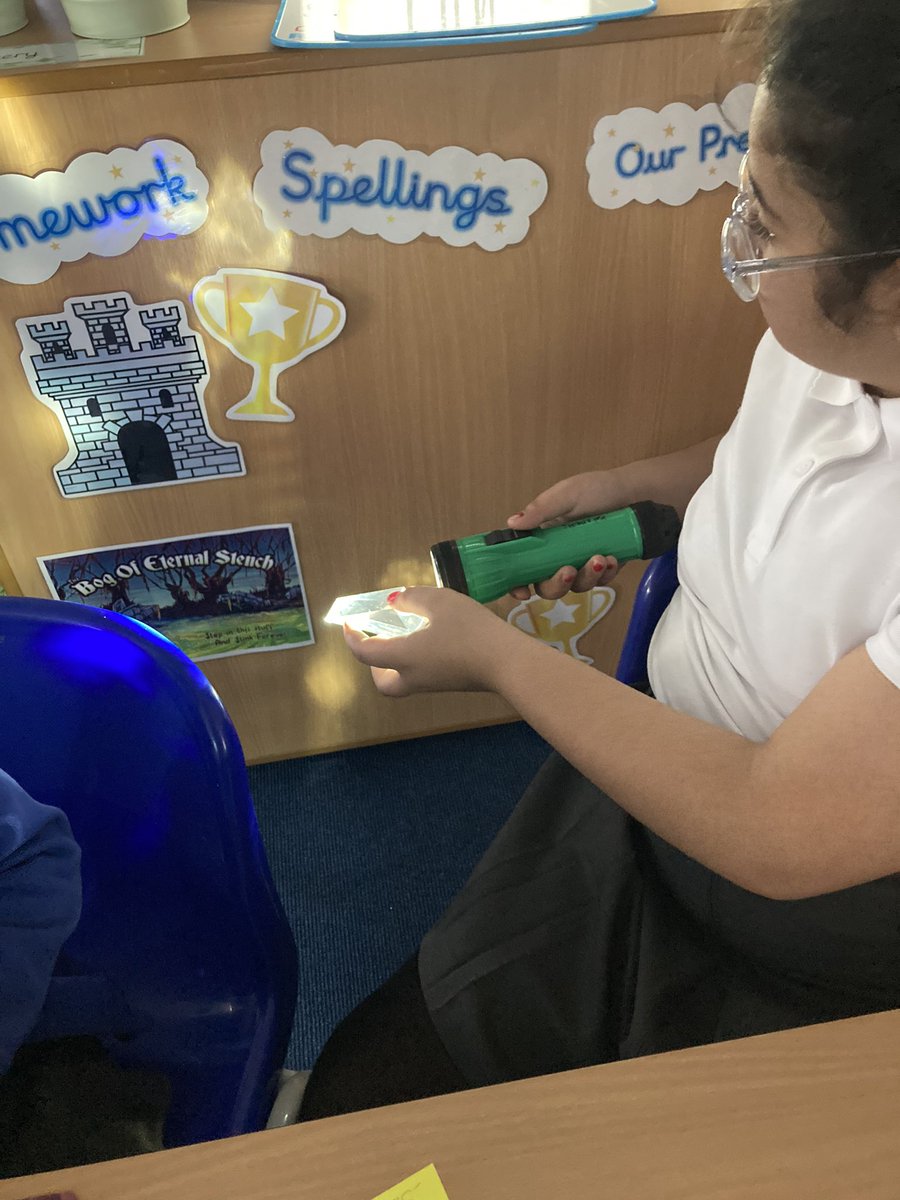 Larkspur Primary tweet media