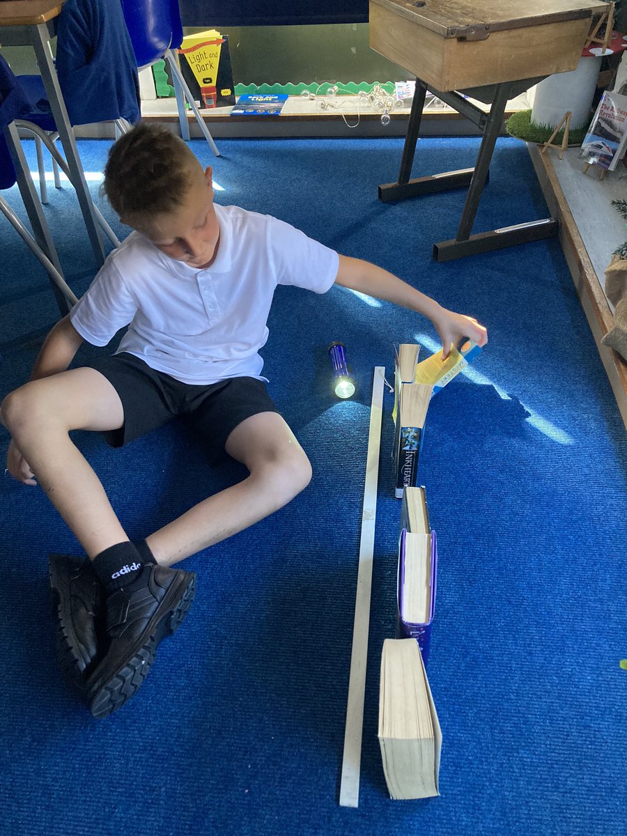 Larkspur Primary tweet media