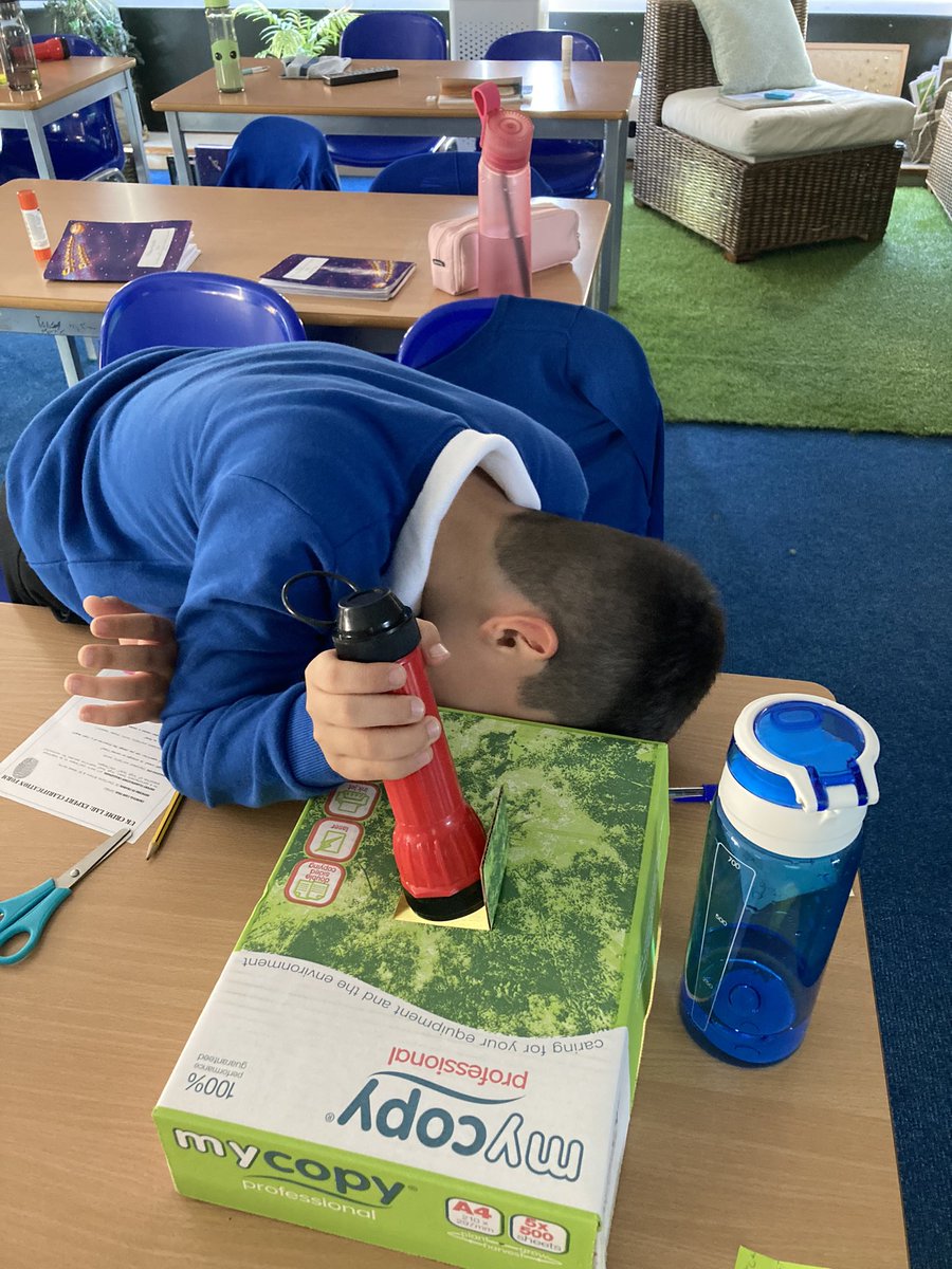 Larkspur Primary tweet media