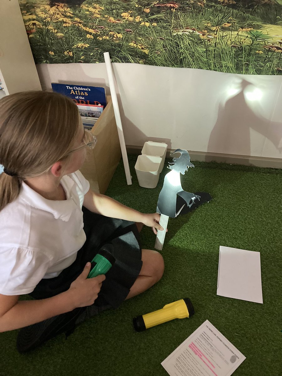 Larkspur Primary tweet media