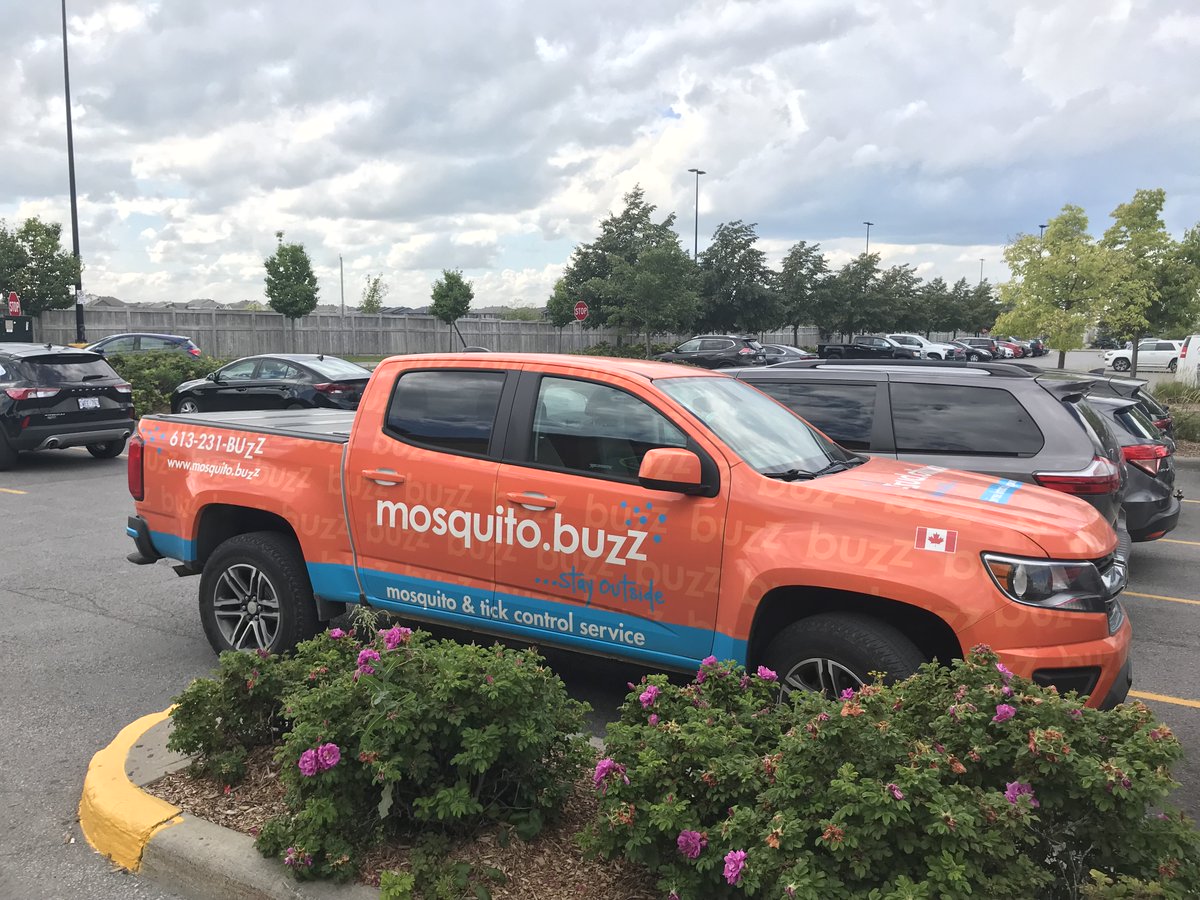 Is your domain name buzzworthy? We spotted this memorable domain being cleverly used as a brand in the wilds of Kanata, Ontario. Kudos to the folks at @themosquitobuzz for great use of a non .com domain name. #branding #naming #startups