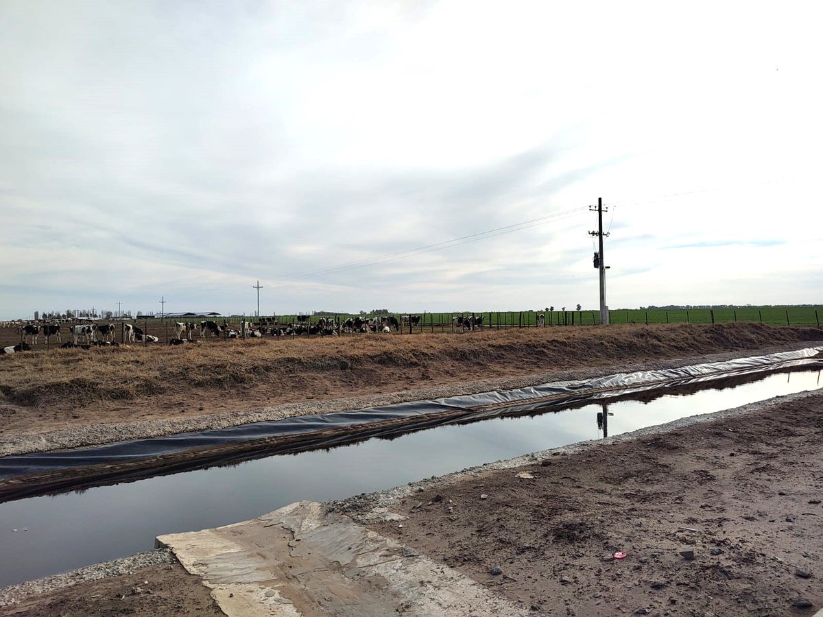 En el marco del Programa de Sustentabilidad de @bayeragro se trataron los siguientes temas:

✅ PRO CARBONO
✅ Certificación de Normas IRAM
✅ Utilización de Envases IBC
✅ PHYTOBAC
✅ Actualización técnica dentro de la Plataforma Fieldview