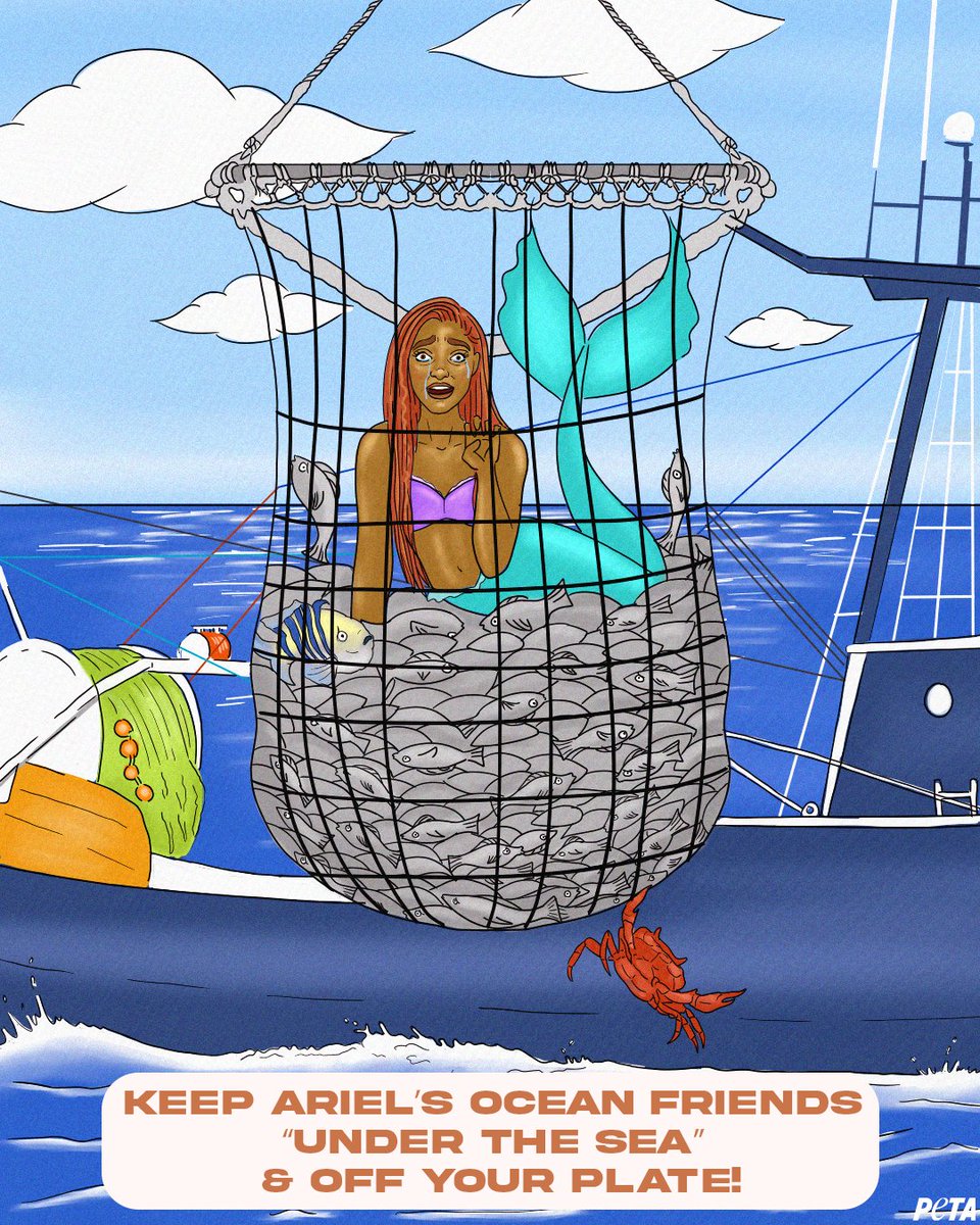PETA on X: Even the Little Mermaid wouldn't be immune to the fishing  industry's deadly nets 💔 Our oceanic fairy tales could become nightmares  if humans keep eating fish & other ocean