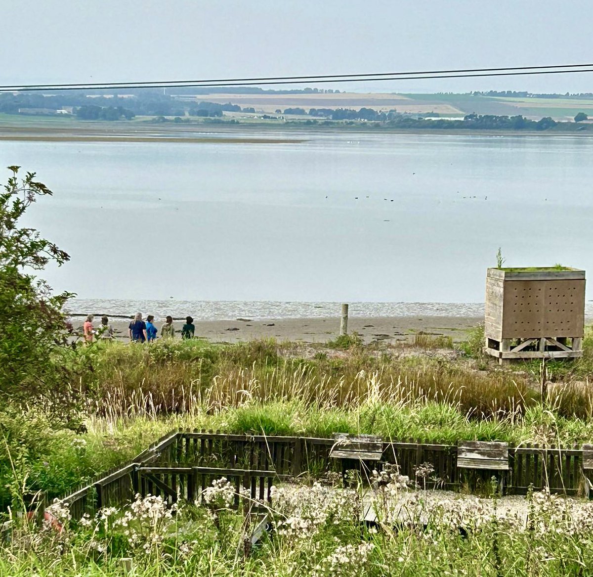 LochsidePS's tweet image. Perfect evening for taking our staff CPD out &amp;amp; about! Curriculum development and learning for sustainability in our wonderful @AngusCouncil setting 💚. Huge thanks to Sheena Beattie @LfSAngus &amp;amp; Alison O’Hara @MontroseBasin #learninginplace #GlobalGoals