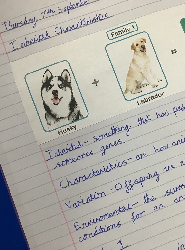 PDA_Y6's tweet image. We looked at different breeds of dog to help us understand inherited characteristics. We really enjoyed looking closely at the inherited features and how environmental factors might have an impact! #pdascience