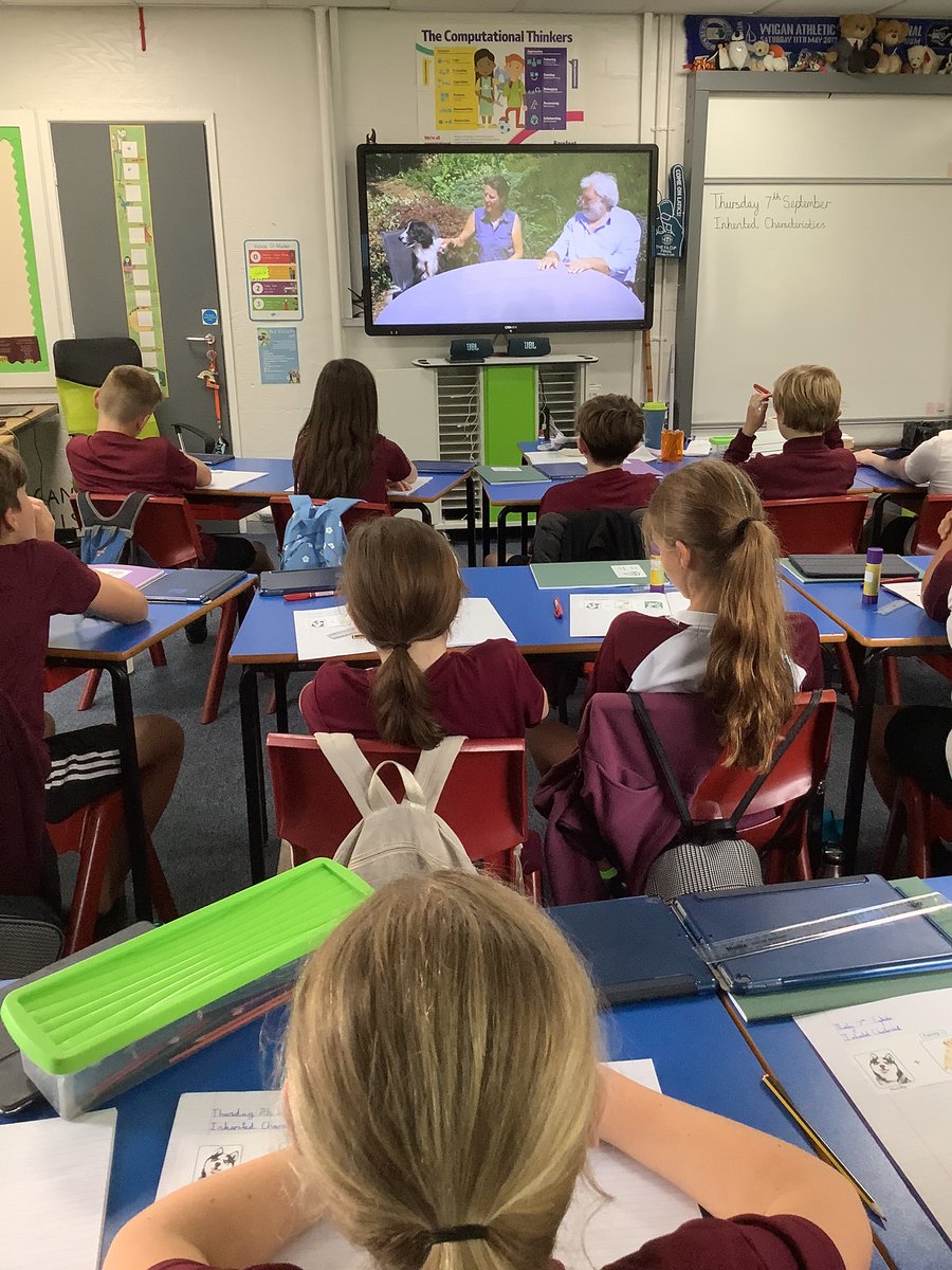 PDA_Y6's tweet image. We looked at different breeds of dog to help us understand inherited characteristics. We really enjoyed looking closely at the inherited features and how environmental factors might have an impact! #pdascience