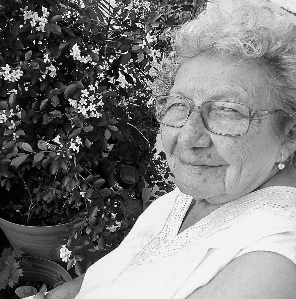 TeatrosCDMX's tweet photo. Lamentamos el sensible fallecimiento de la maestra Maricela Lara (1932-2023), prolífica actriz, docente, promotora y directora teatral. 
Alumna de figuras como Seki Sano, Salvador Novo, Hugo Argüelles, Emilio Carballido y José Solé, estudió en la Escuela Nacional de Teatro.
QEPD. https://t.co/Ymd0haR5LP