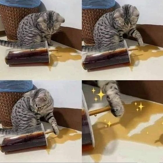 DontShowYourCat's tweet photo. stopping the leak https://t.co/6dw5gyk01P