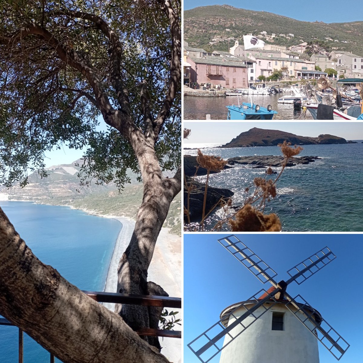 MaxsScot's tweet photo. Splendeurs du #CapCorse entre petits ports de pêcheurs et panoramas époustouflants #Corsica #Nonza #Centuri #MoulinMattei https://t.co/O0wDKA8fI7