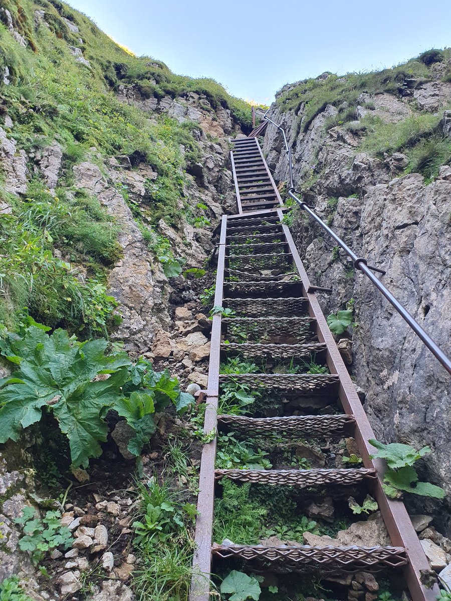 _Lolli__'s tweet photo. Ich hab auf dem #Reichenstein 2165m #Steinmanderl 💞 gebaut https://t.co/UAw0Ts8gRI