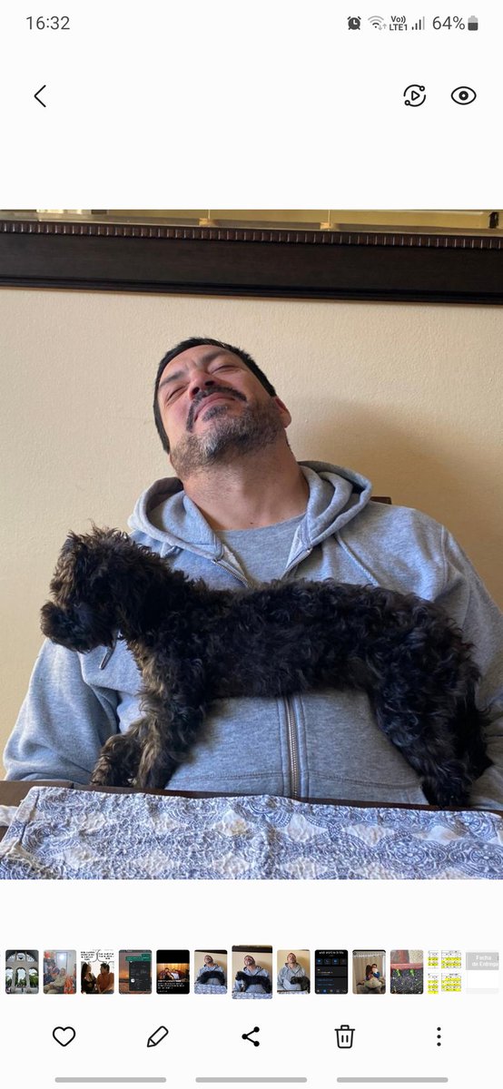 osroibaz's tweet photo. Busco a mi perrita ARYA sector CEAT 
Ayuda porfa 
@SanPedroPaz @SanPedroSPI @SANPEDRO_CC @SanPedroMuni https://t.co/Dsj9gwrLXP