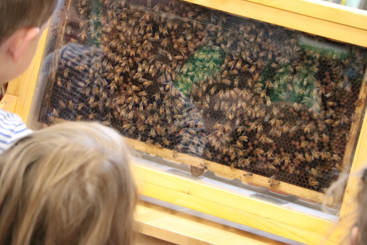 Louisa County Public Schools tweet media