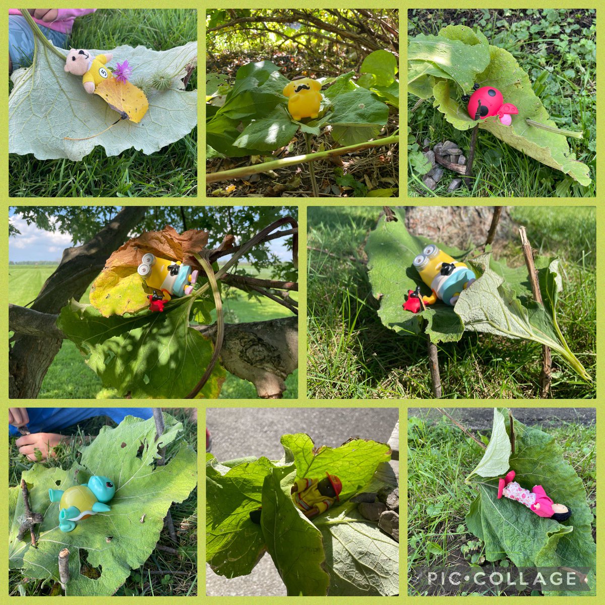 Eco_Educate's tweet image. 🌿✨ Grade 3/4 STEM Fun! 🚀 We used ONLY nature&apos;s materials to suspend characters in mid-air! 💡🌱 Teamwork, creativity, and pure joy! 📸😄 #STEM #NatureFun #KidsInScience @DSBNOutdoorED @GainsboroughPS @dsbn