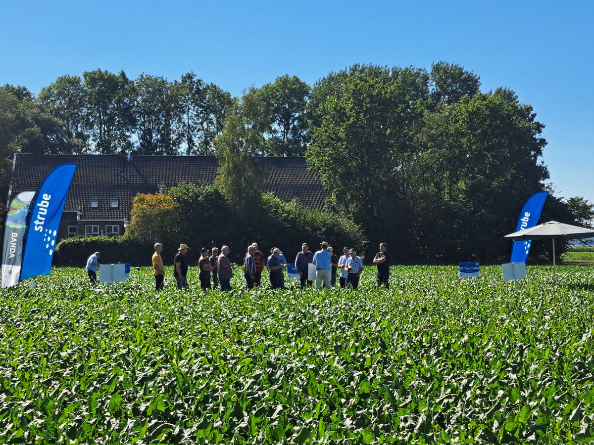 eric_huizenga's tweet image. Bietendag bij PPO Valthermond. Goed bezocht met daarbij prima bietenweer! #suiker