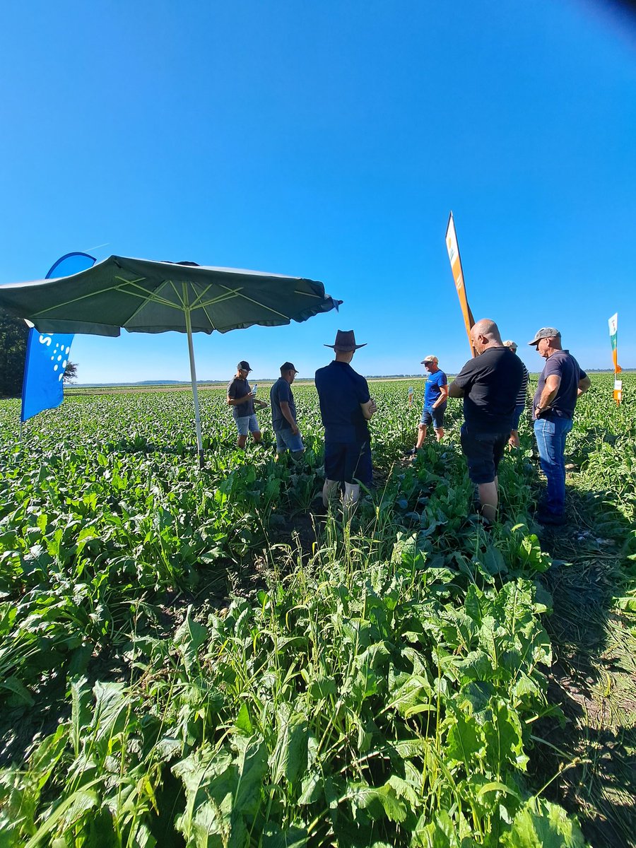 eric_huizenga's tweet image. Bietendag bij PPO Valthermond. Goed bezocht met daarbij prima bietenweer! #suiker