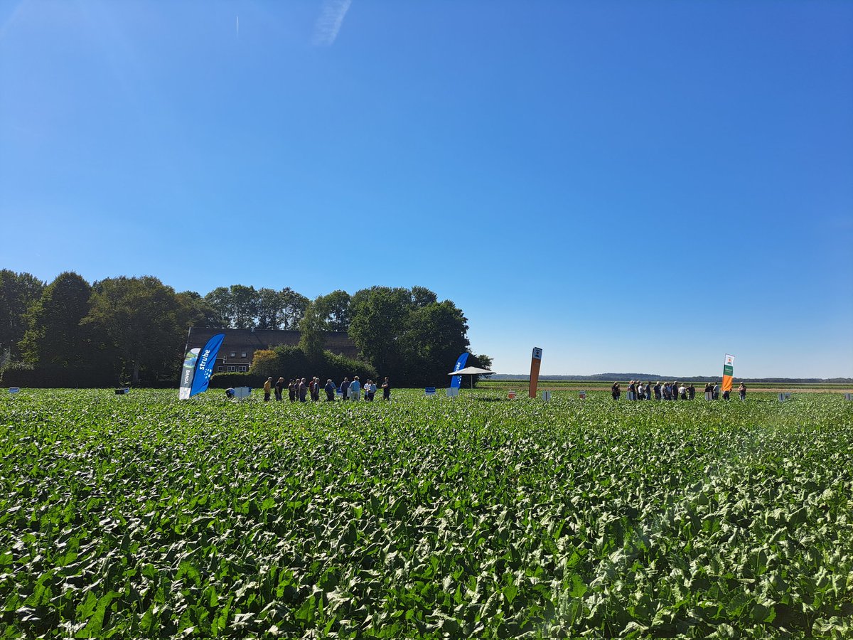 eric_huizenga's tweet image. Bietendag bij PPO Valthermond. Goed bezocht met daarbij prima bietenweer! #suiker