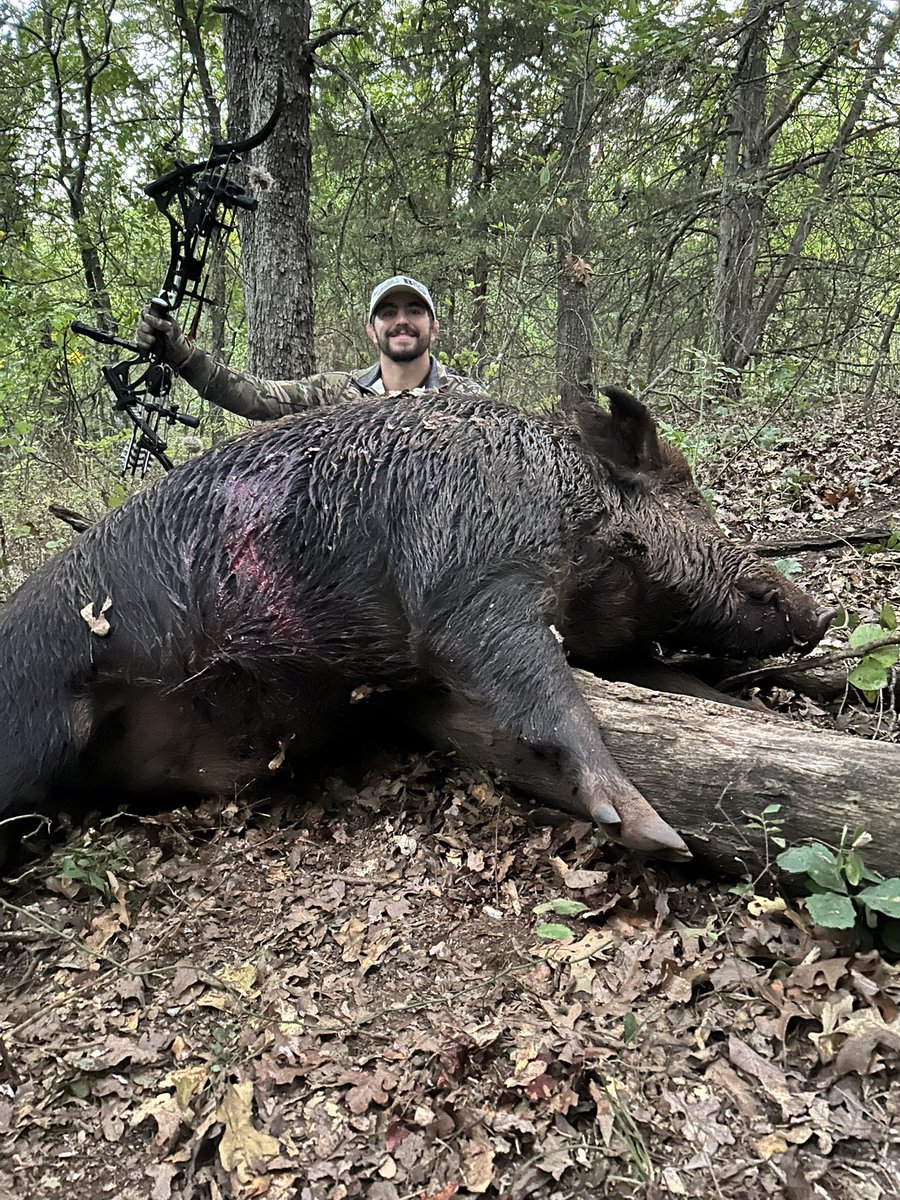 kaidbrock2020's tweet photo. Got it done last night on a probably the biggest boar I’ll ever get! @OneidaEagleBows has been great to me! #hunting #gotem https://t.co/pbMlUJLG2J