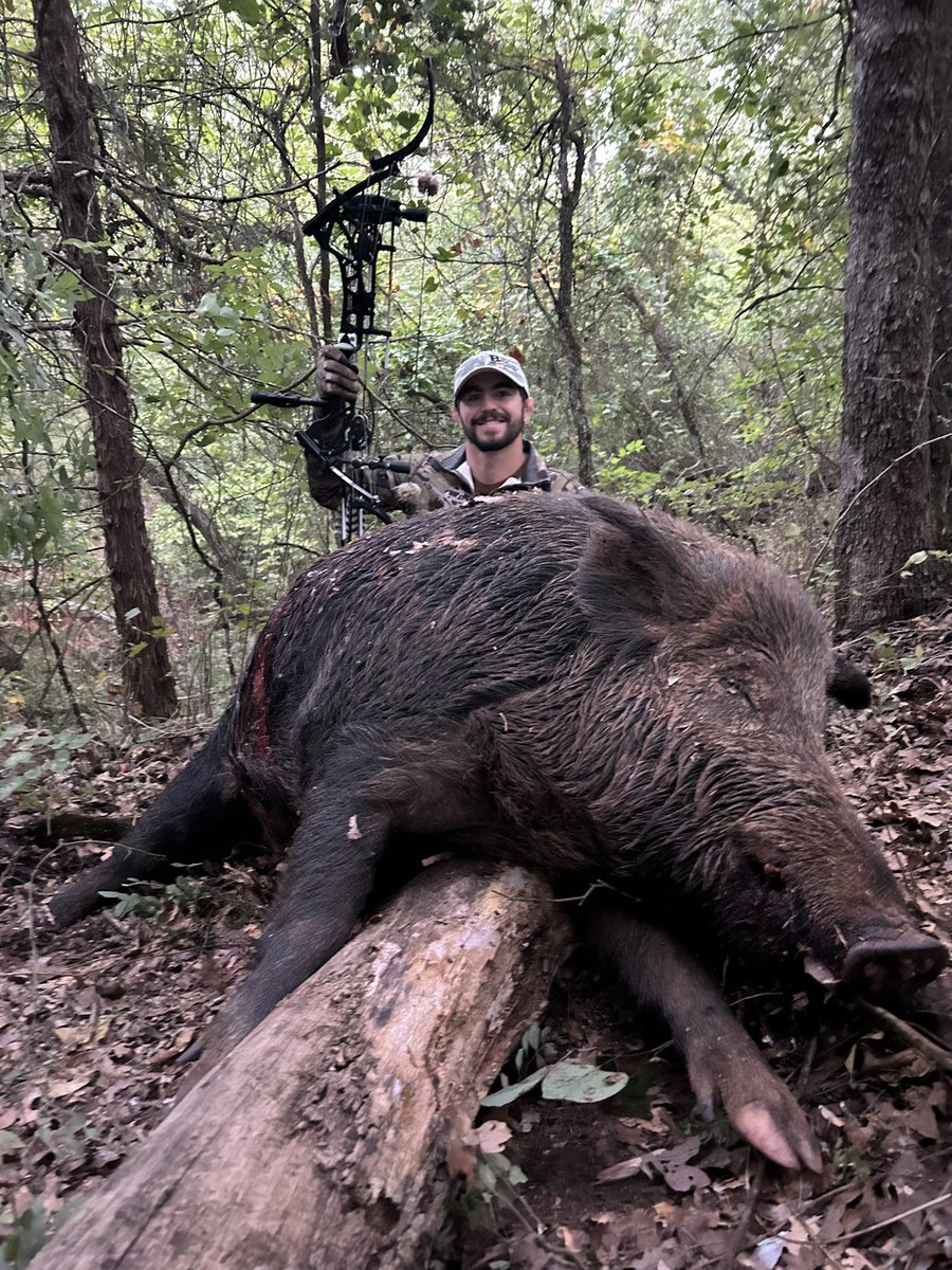 kaidbrock2020's tweet photo. Got it done last night on a probably the biggest boar I’ll ever get! @OneidaEagleBows has been great to me! #hunting #gotem https://t.co/pbMlUJLG2J