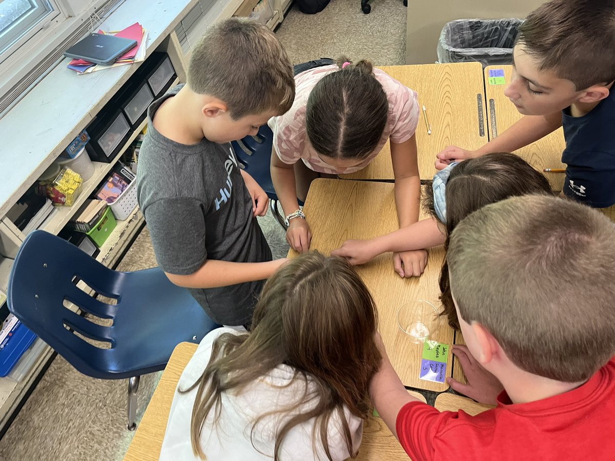 Challenge accepted! Students had so much fun working together to create a plan to save Fred!