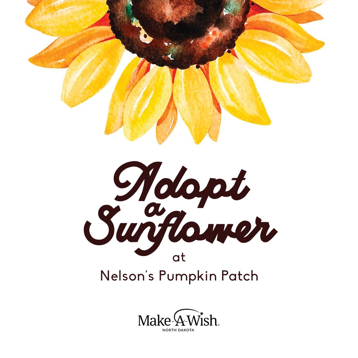 Make-A-Wish ND tweet media