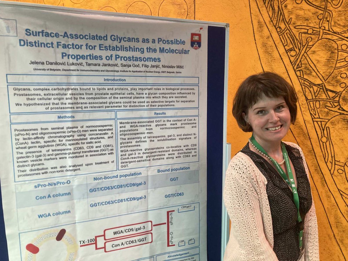 SrbEVs_office's tweet photo. Representative of SrbEVs' Glycobiology group presenting at #SmallNewWorld, Jelena Danilovic Lukovic https://t.co/4cZ6O2bndU