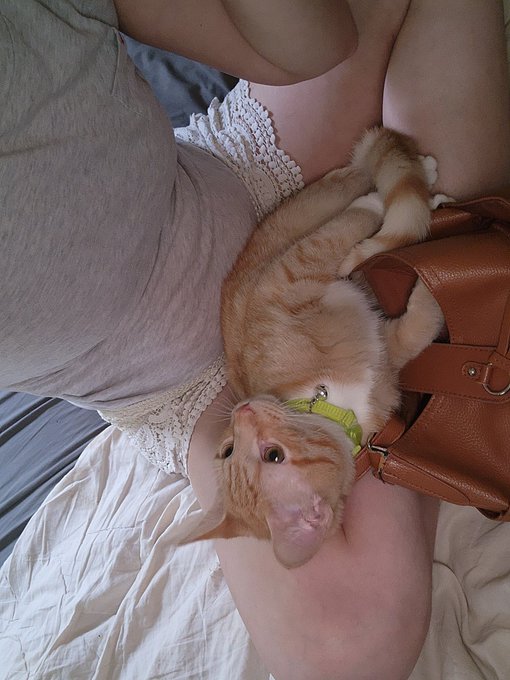 RT if you wanna see more of my kitty 😺 💕 https://t.co/ZNIN9LUXUm<a href="/tag/realloyalfans"class="tags"><span>#realloyalfans</span></a>
