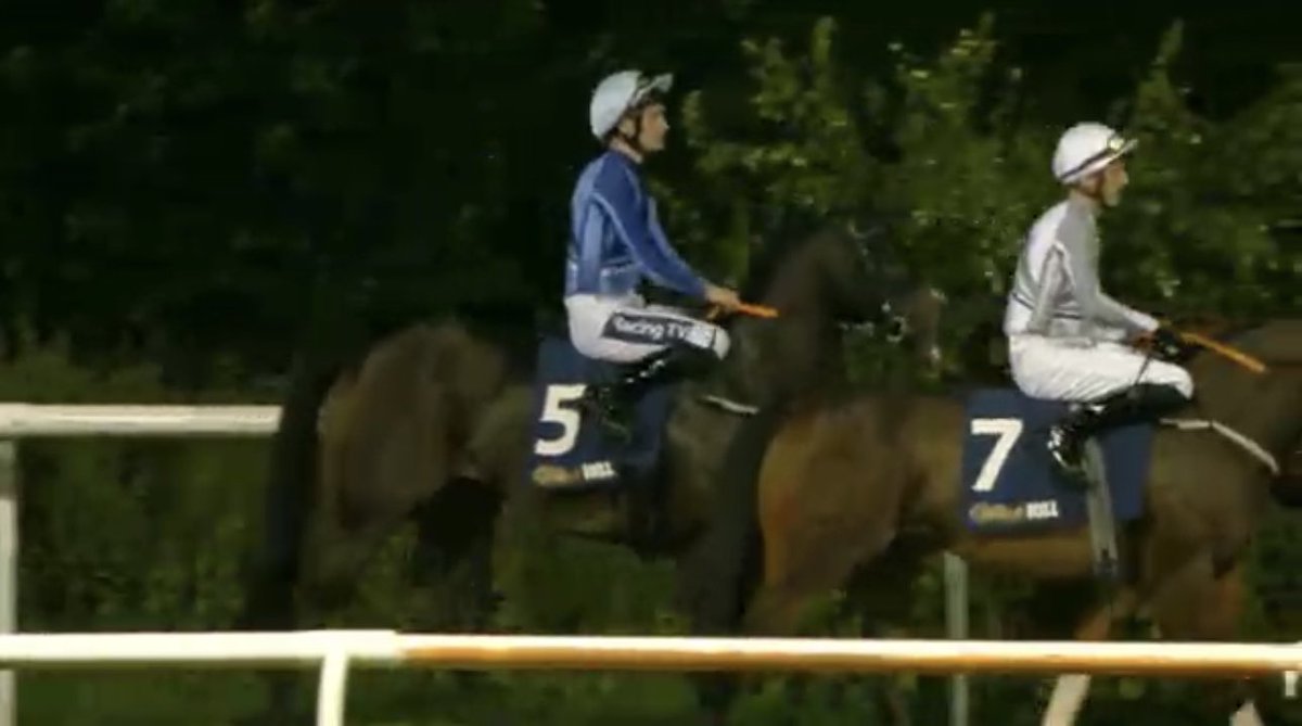 Richardlewisevans tweet media