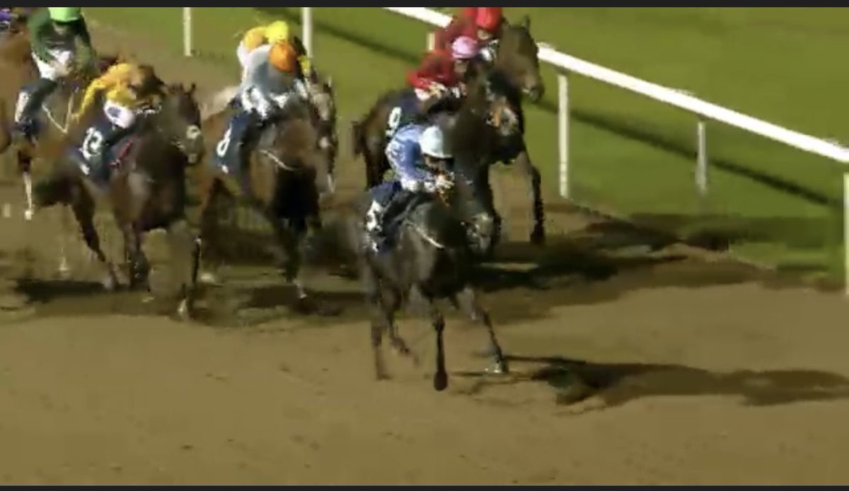 Richardlewisevans tweet media