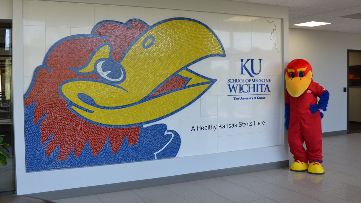 Have questions about how to prepare for medical school? Get answers at one of our free open houses (virtual and in-person options available): bit.ly/KUmedopenhouse #JayhawkDocs #WeDocThis