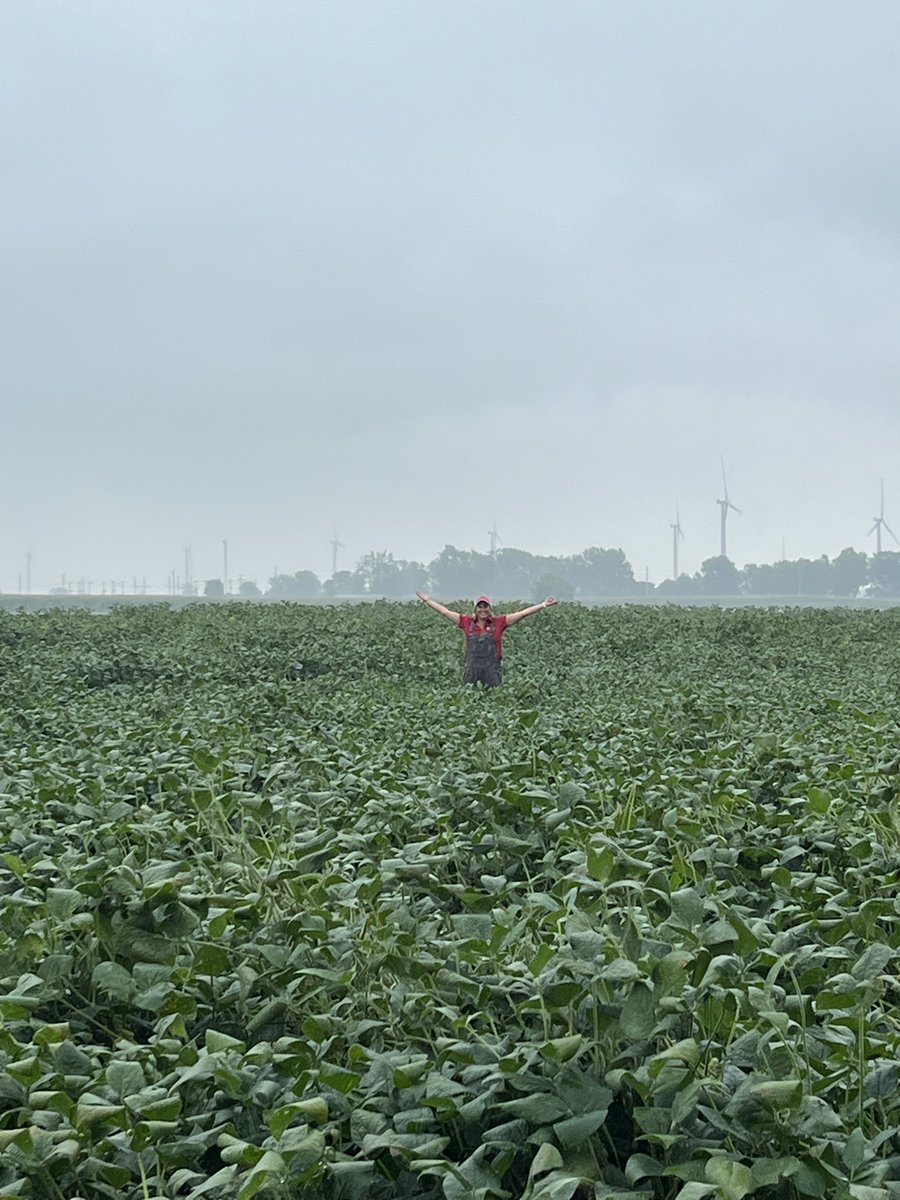 Nick Williamson tweet media