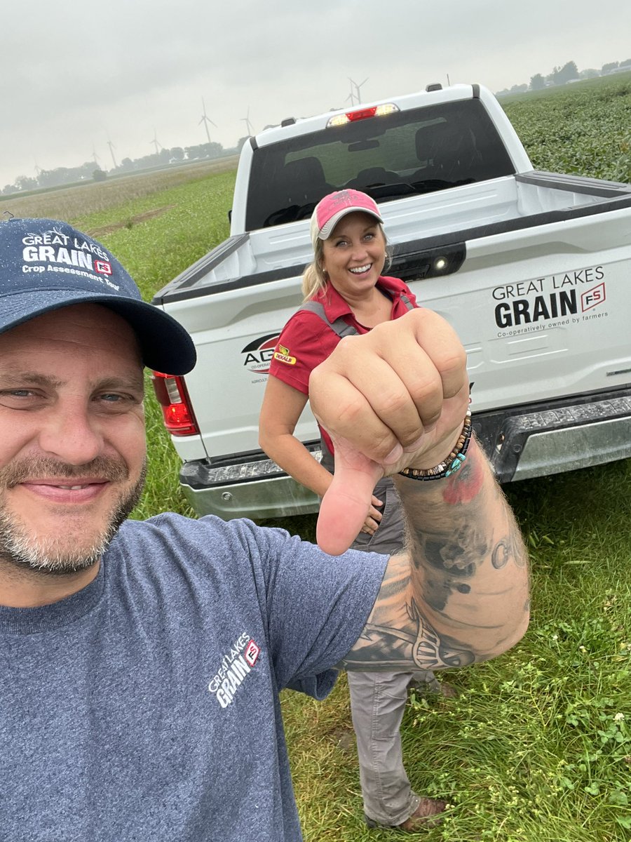 Nick Williamson tweet media