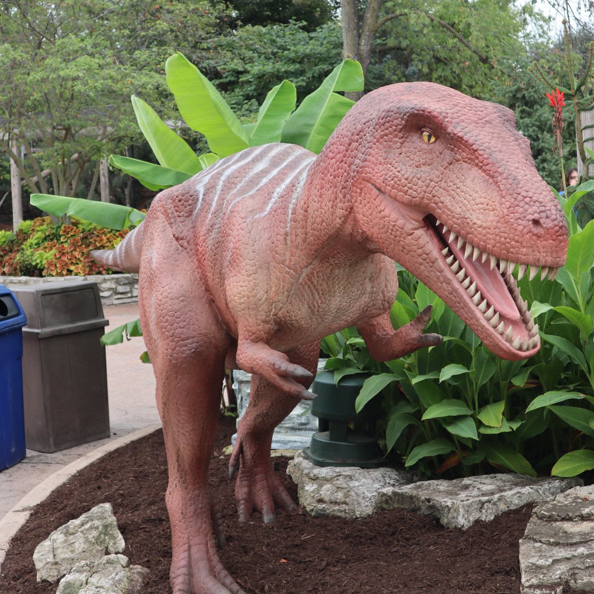 fortwaynezoo's tweet photo. Join us this weekend for Dino Days!

Thank you to Fifth Third Bank for supporting Dino Days. https://t.co/6JTr3bDRq0