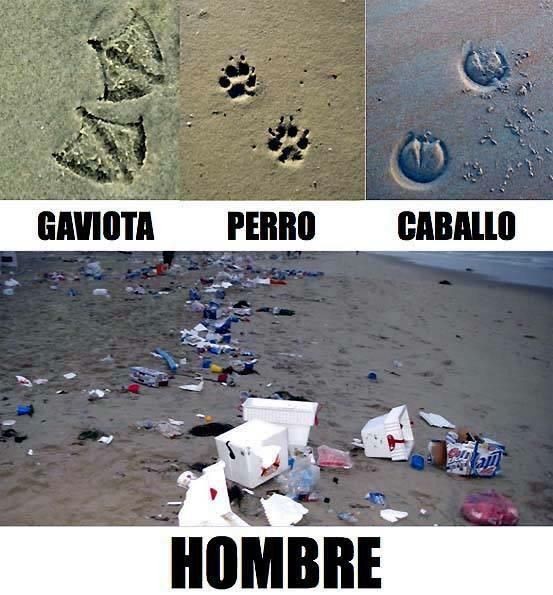 AgusVazquez014's tweet photo. Empecemos a limpiar por favor🤕📢

#ODM2023 #MedioAmbiente #NoEnsuciar🚯 https://t.co/Vvu4XLqFN9