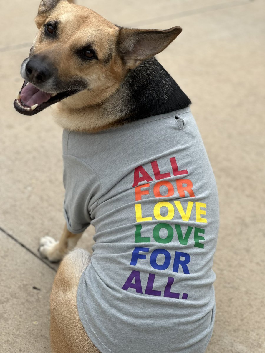 Sarge rocking in his new pride shirt 🥰