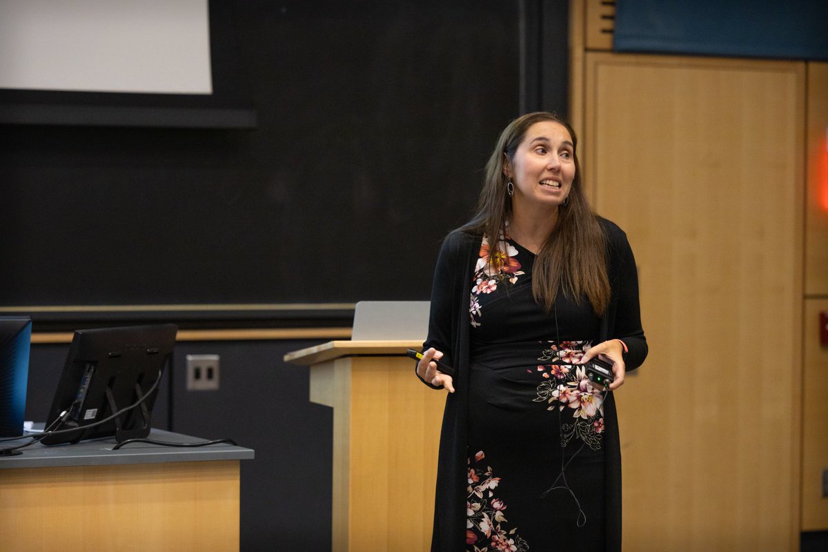 Paul Chirik tweet media