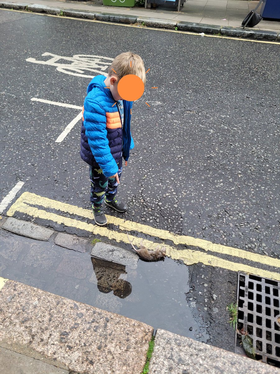 Rich0B's tweet photo. @CllrMcHuntSNP You are just copying Labour. My son saw this one in In Kier Starmers Kentish Town only last week https://t.co/8wTpnx8raq